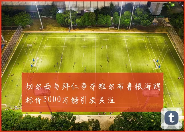 切尔西与拜仁争夺维尔布鲁根海鸥标价5000万镑引发关注